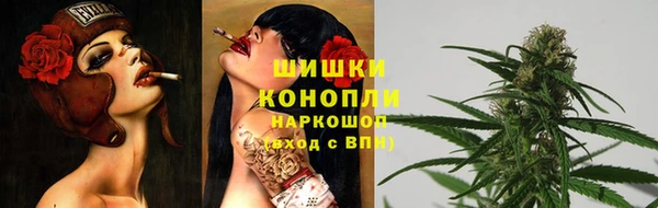 шишки Алексеевка