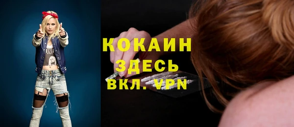 индика Аркадак
