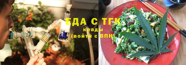 индика Аркадак